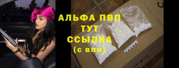 прущие грибы Мегион