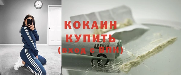 твердый Михайловск