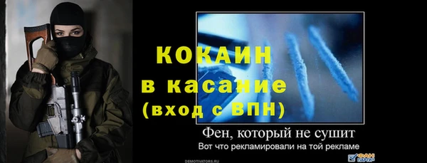 твердый Михайловск