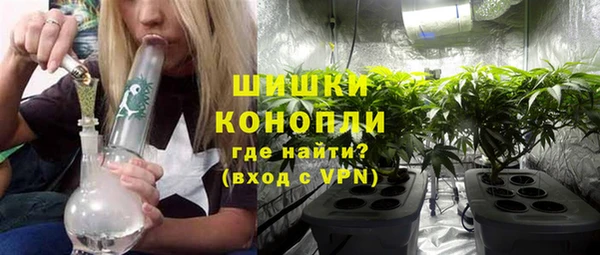 сатива Михайловка
