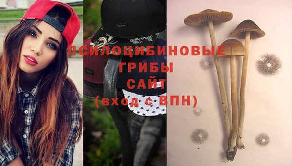 COCAINE Михайлов