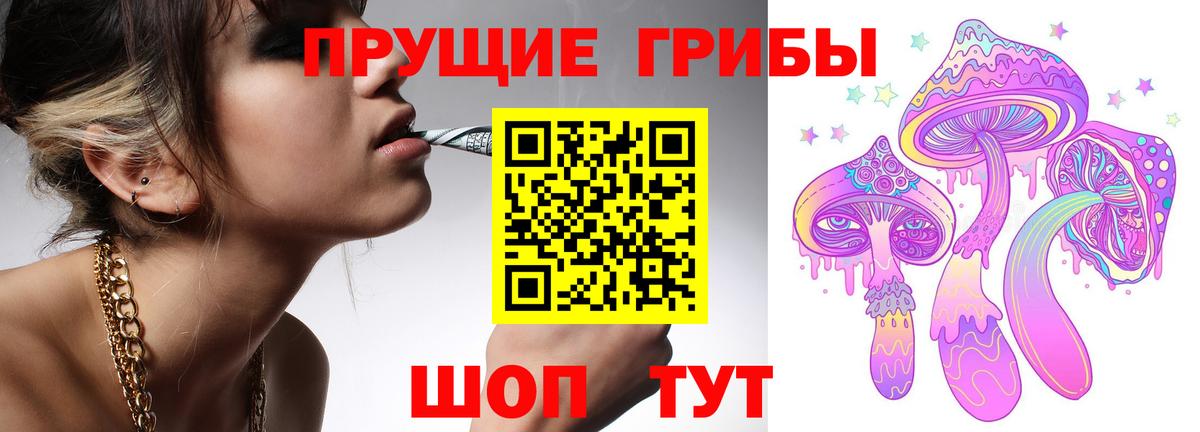 Галлюциногенные грибы Psilocybine cubensis  как найти   Домодедово 